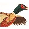 Image 3 : Pheasant by Big Sky Carvers  [170732]