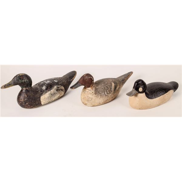 Drake Duck Decoy Trio  [172028]