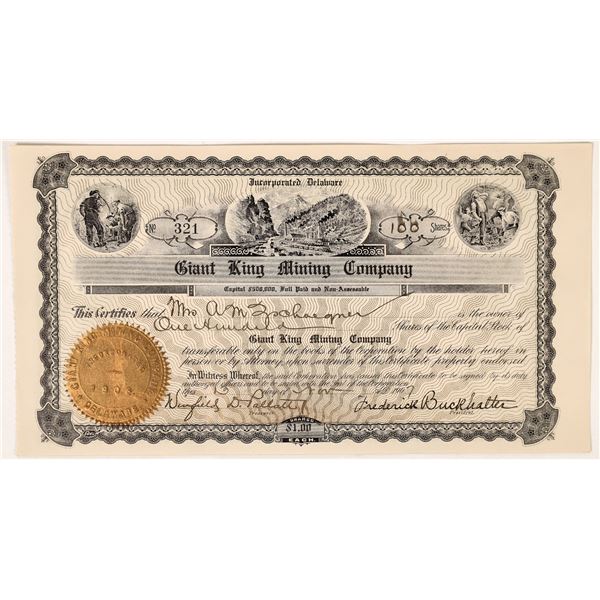 Giant King Mining Company Stock, Washington, Nevada County, Cal.  [145749]