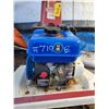 Image 2 : MTD rototiller