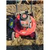 Image 1 : Gas push mower