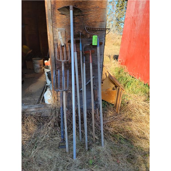 Hoes, rake, forks