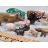 Image 3 : QTY OF MINIATURE PIGS