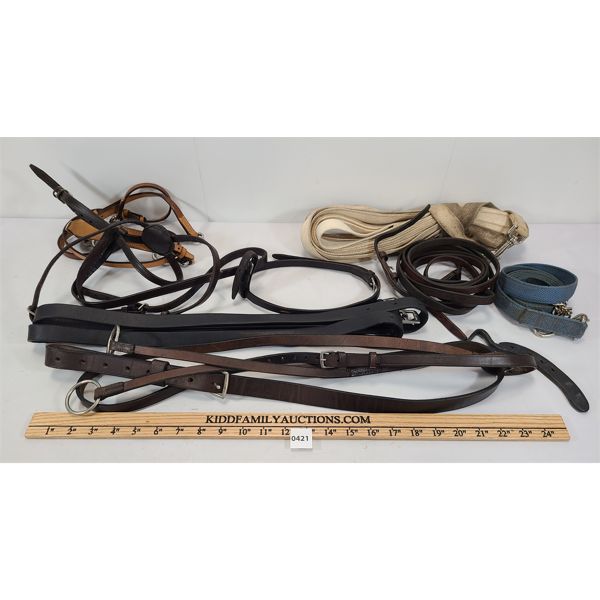 LOT OF 9 - LEAD ROPES, REINS & BRIDLE, ETC.