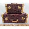 Image 1 : LOT OF 2 - DOMINION LUGGAGE SUITCASE & VANITY COSMETIC TRUNK
