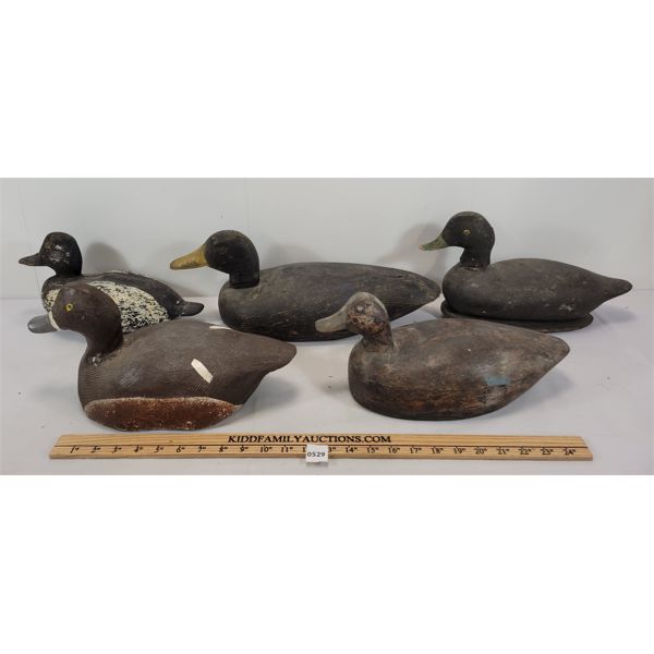 LOT OF 5 - DUCK DECOYS