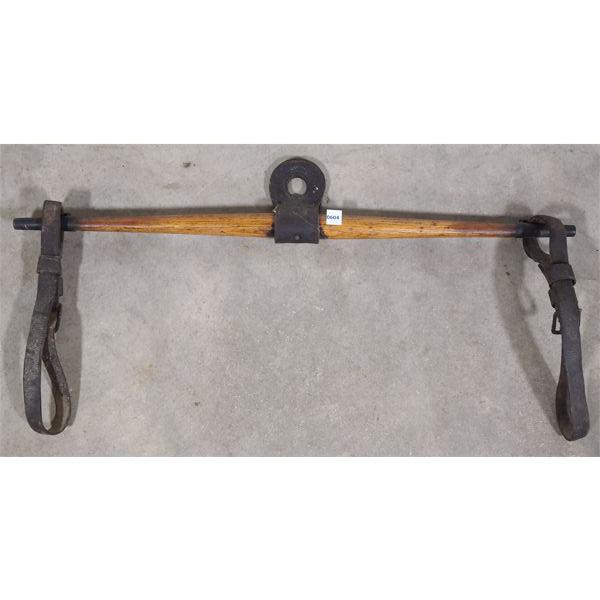 ANTIQUE EQUESTRIAN EVENERS 