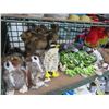 Image 1 : Asst. Child Plush Toys , Owls, Frog, Parrot and More