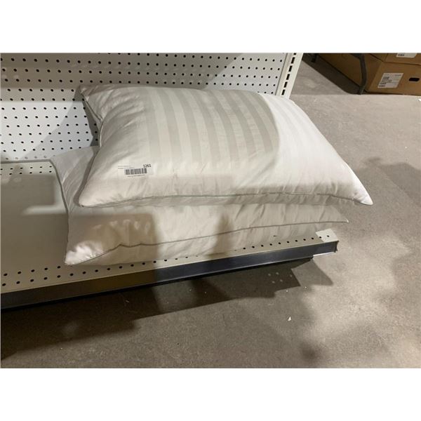 Allied Home Set of 2 Pillows