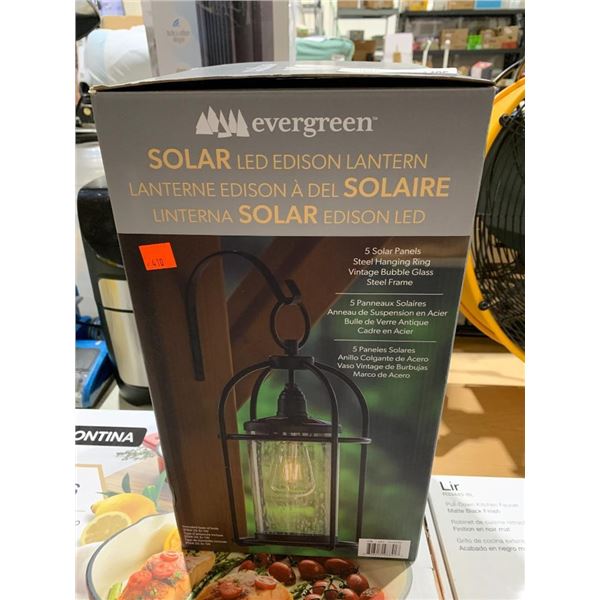 Evergreen Solar LED Edison Lantern