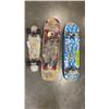 Image 3 : MINI LONGBOARD, SKATEBOARD, AND SKATEBOARD DECK