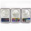 Image 2 : 2011[S] Set [3] American Silver Eagles NGC MS69