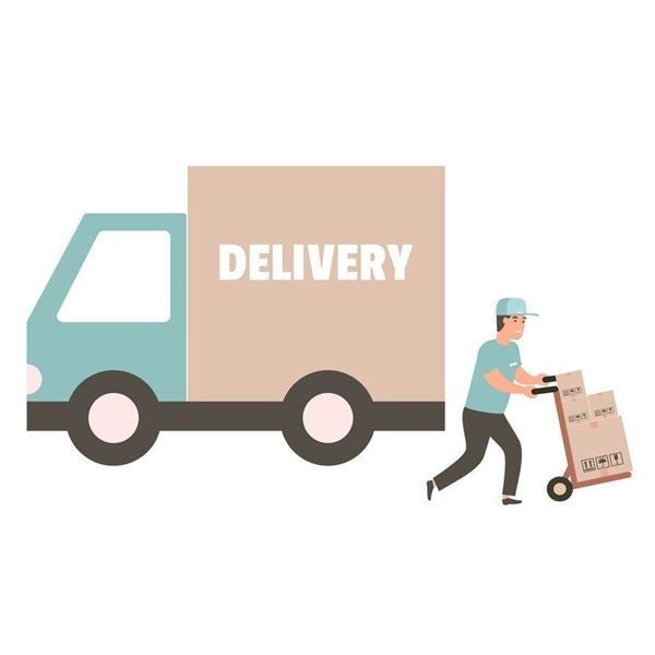 Shipping & Insurance