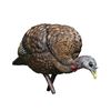 Image 1 : Avian LCD Feeder Hen Decoy, New