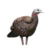 Image 1 : Avian LCD Breeder Hen Decoy, New