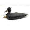 Image 2 : Antique Elgin Babcock Made Wood Duck Decoy