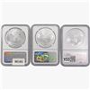 Image 2 : [3] American Silver Eagle NGC MS69 2006-2020