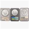 Image 2 : [3] American Silver Eagle NGC,PCGS MS 2011-2021