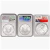 Image 2 : [3] American Silver Eagle NGC,PCGS MS 2019-2021
