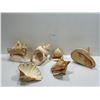 Image 2 : Collection Of Large Seashells