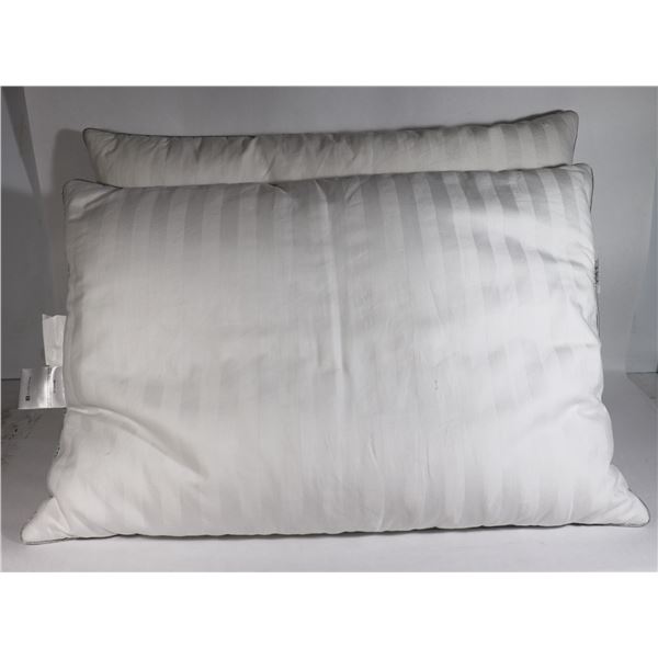 LOT OF X2 STORE RETURN PILLOWS IN GOOD CONDITION