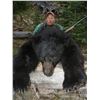 Image 2 : 7 Day Spring Black Bear Hunt for 2 Hunters
