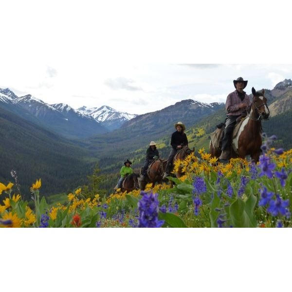 7 Day Wildlife Tracking Horse Pack Trip for 2 people