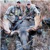 Image 1 : 7 Day Canadian Moose Hunt