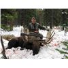Image 3 : 7 Day Canadian Moose Hunt