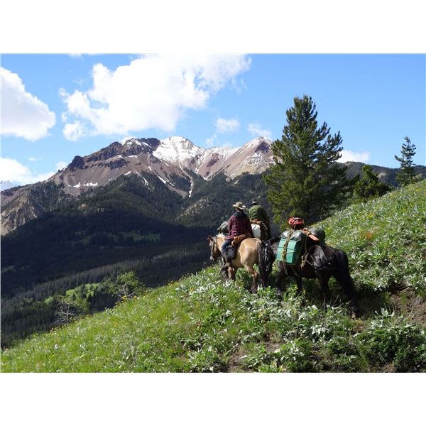 7 Day Wilderness Horseback Guide School Program for One Person