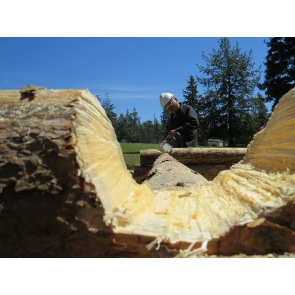 7 Day Log Cabin Building Class for two people