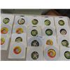 Image 1 :  19 Beatles 45 RPM Records