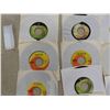 Image 2 :  19 Beatles 45 RPM Records