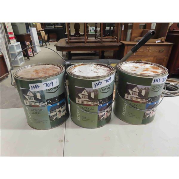 Latex Exterior Paint - Black, Flat Finnish Paint - 3 Gal - all kept inside