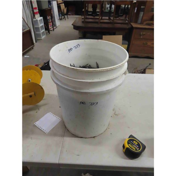 4 Gal of 3" Nails