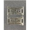 Image 1 : Lot Of 2, 1963 Chauffeur Badges