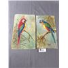 Image 1 : 2 Original Parrot Paintings. Signed & Dated 1947