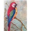 Image 2 : 2 Original Parrot Paintings. Signed & Dated 1947