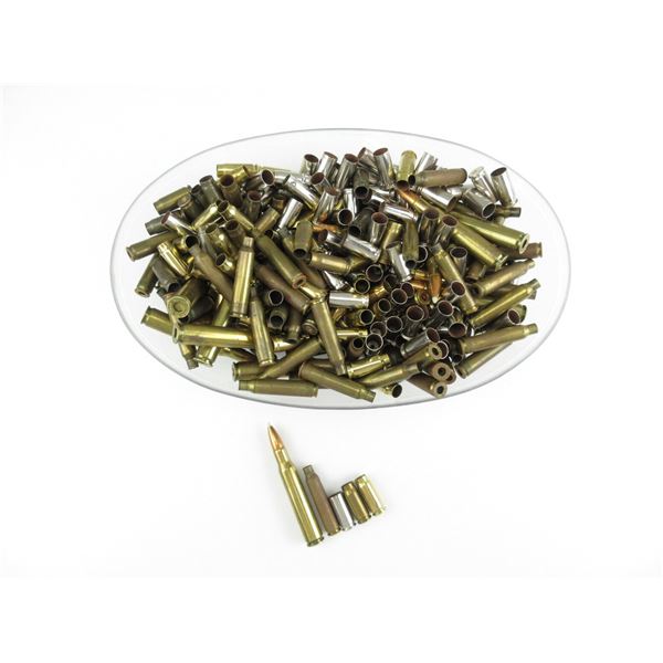 ASSORTED NON-PRIMED BRASS CASE LOT