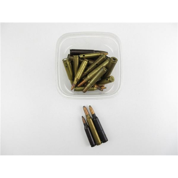 ASSORTED DUMMY RNDS LOT