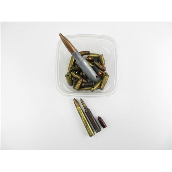 ASSORTED DUMMY RNDS LOT