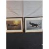 Image 1 : 2 Framed War Plane Photographs