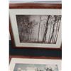 Image 2 : 4 Framed Nature Pictures