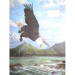 Diving Eagle Print by Cross, Image size:   25" x 18" (6)
