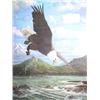 Image 1 : Diving Eagle Print by Cross, Image size:   25" x 18" (6)