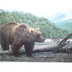Grizzly Bear Print Double Matted  Image Size:  17" x 30"   303/750 Numbered and Signed by J. Bearydo