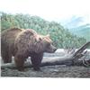 Image 1 : Grizzly Bear Print Double Matted  Image Size:  17" x 30"   303/750 Numbered and Signed by J. Bearydo