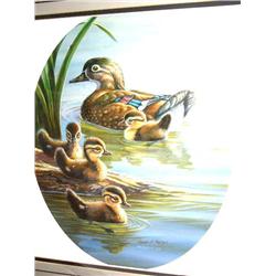 Mother and 3 Baby Ducks by S. Merger,  Image Size:   16" x 12"  (6)