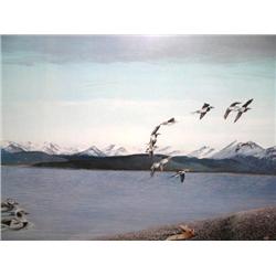 Flying Duck Print by Louis Frisino   Numbered:  AC979MD   Image Size:  16" x 25" (6)