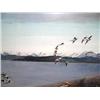 Image 1 : Flying Duck Print by Louis Frisino   Numbered:  AC979MD   Image Size:  16" x 25" (6)